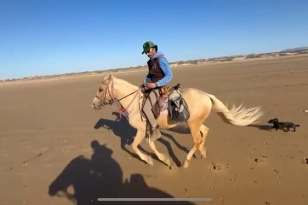 8-daagse paardrijtocht van Agadir naar Essaouira - Marokko