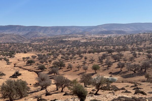 8-daagse paardrijtocht van Agadir naar Essaouira - Marokko