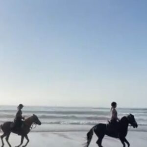 8-daagse paardrijtocht van Agadir naar Essaouira - Marokko - Afbeelding 7