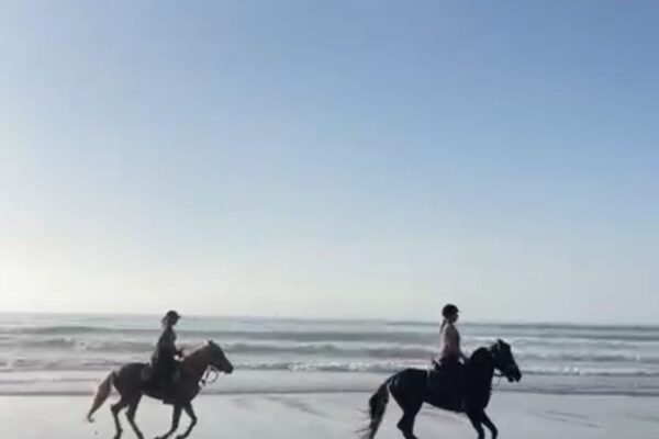 8-daagse paardrijtocht van Agadir naar Essaouira - Marokko