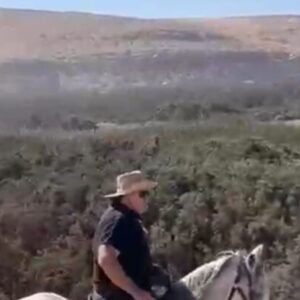 8-daagse paardrijtocht van Agadir naar Essaouira - Marokko - Afbeelding 6