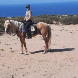 8-daagse paardrijtocht van Agadir naar Essaouira - Marokko - Afbeelding 5