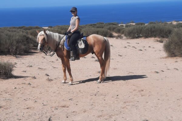 8-daagse paardrijtocht van Agadir naar Essaouira - Marokko