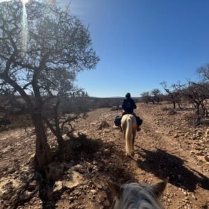8-daagse paardrijtocht van Agadir naar Essaouira - Marokko - Afbeelding 3