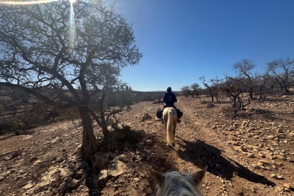8-daagse paardrijtocht van Agadir naar Essaouira - Marokko