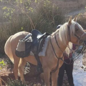 8-daagse paardrijtocht van Agadir naar Essaouira - Marokko - Afbeelding 2