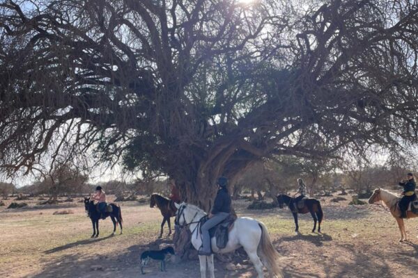 8-daagse paardrijtocht van Agadir naar Essaouira - Marokko