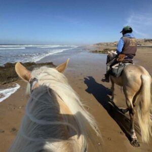 8-daagse paardrijtocht van Agadir naar Essaouira - Marokko - Afbeelding 20