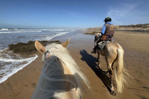 8-daagse paardrijtocht van Agadir naar Essaouira - Marokko