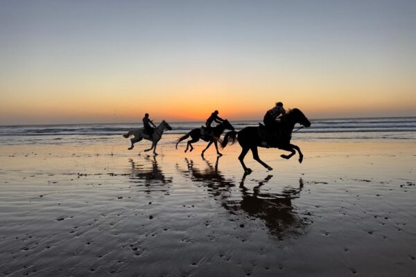 8-daagse paardrijtocht van Agadir naar Essaouira - Marokko