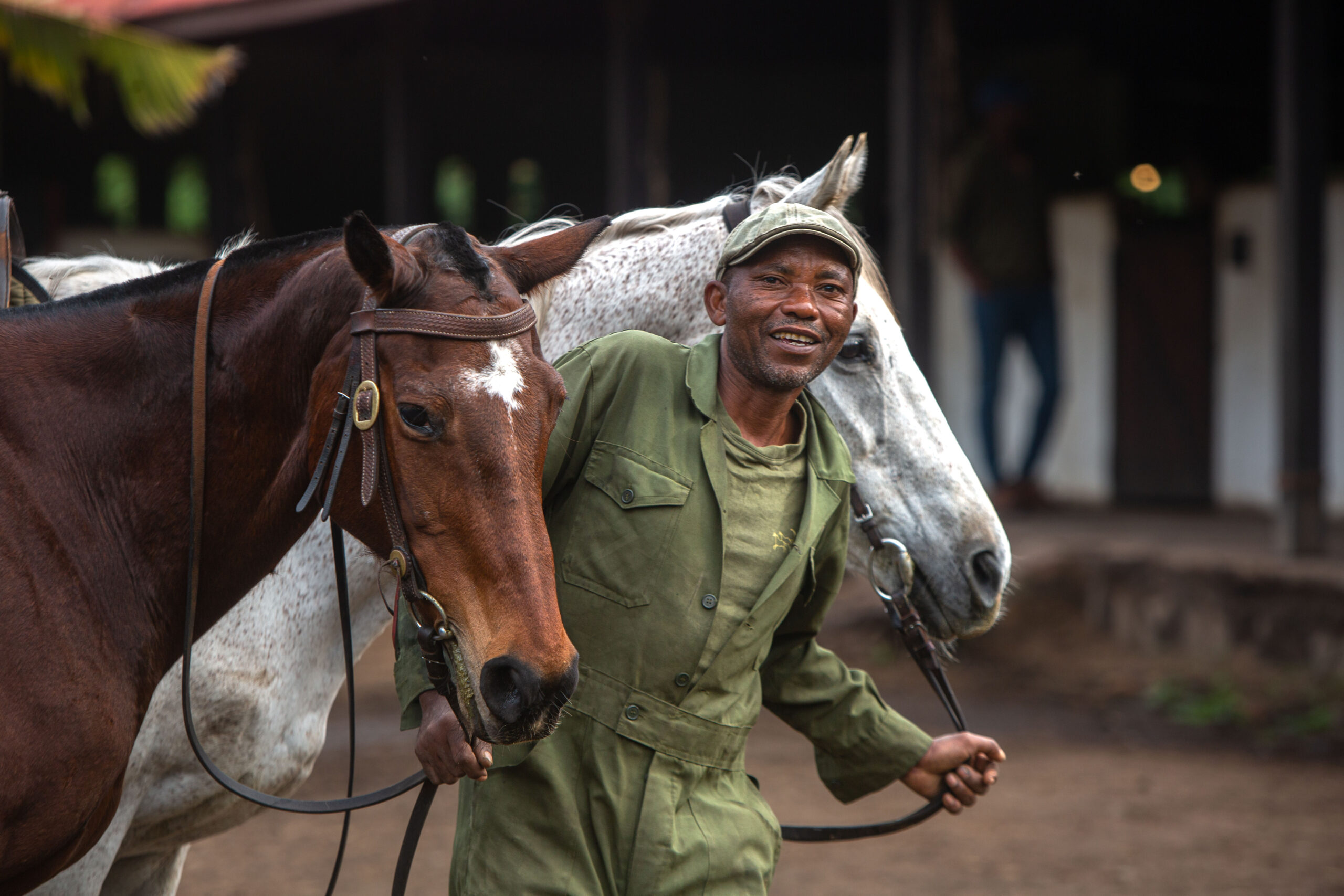 5-daagse Paardrijsafari en yoga-retreat - Tanzania - Afbeelding 15