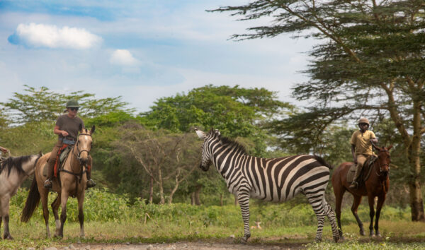Buitenrit Wildlife Day Ride - Tanzania