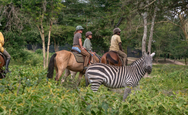 Buitenrit Wildlife Day Ride - Tanzania