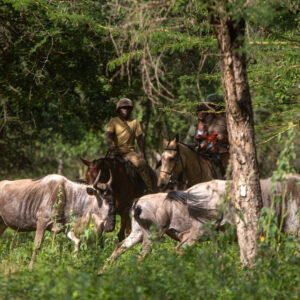 Buitenrit Wildlife Day Ride - Tanzania - Afbeelding 14