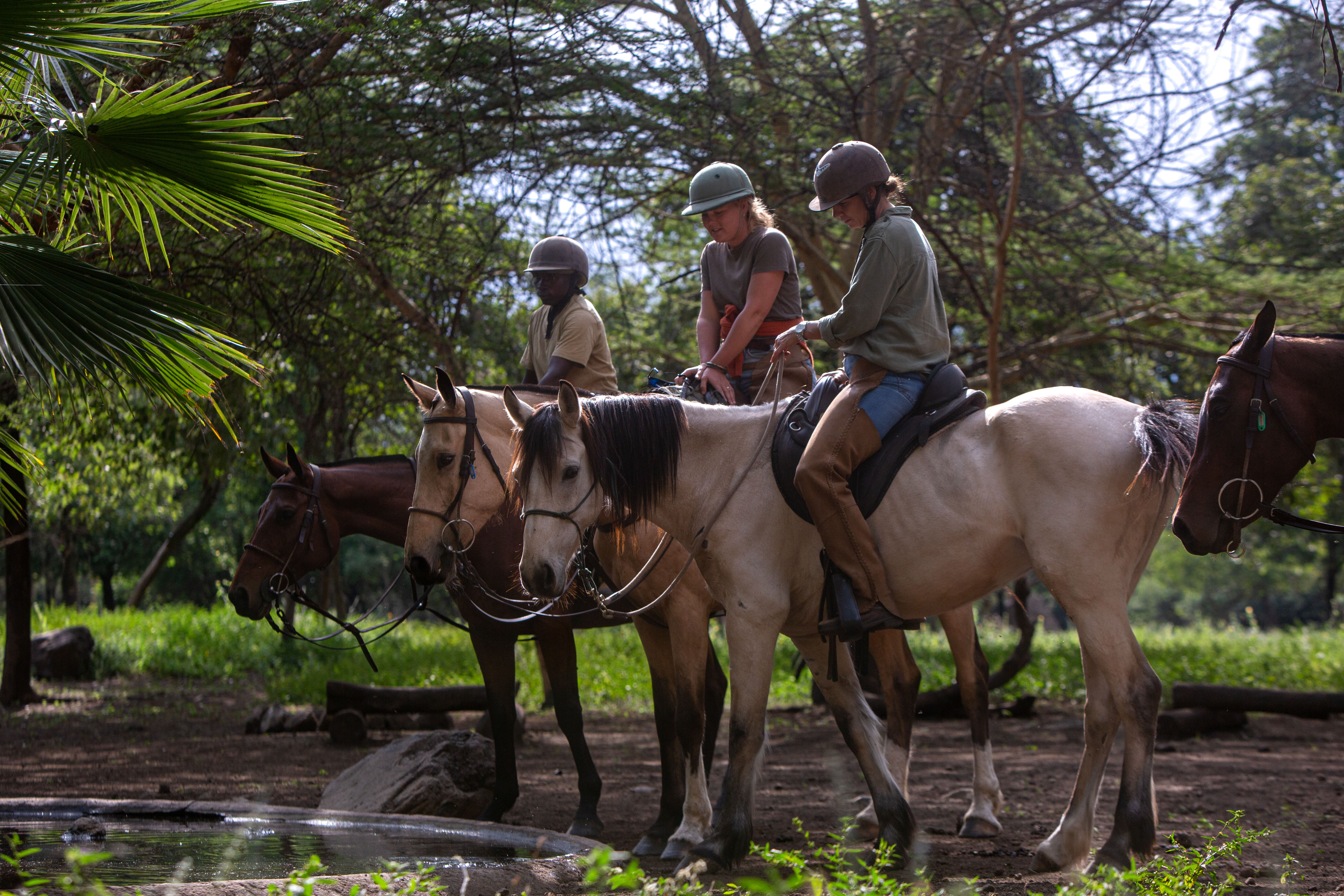 Buitenrit Wildlife Day Ride - Tanzania - Afbeelding 11