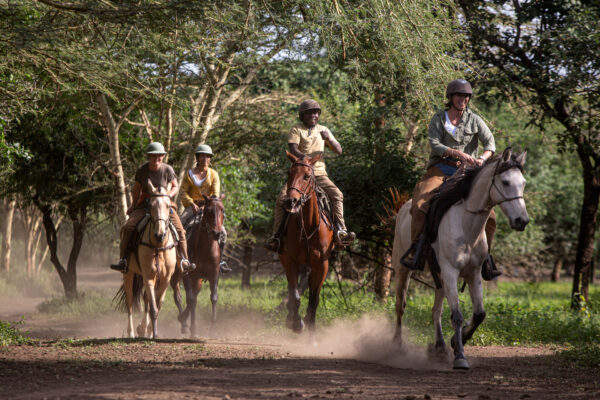 Buitenrit Wildlife Day Ride - Tanzania