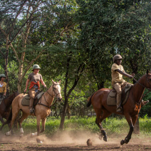Buitenrit Wildlife Day Ride - Tanzania - Afbeelding 9