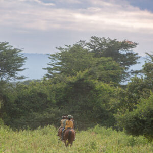 Buitenrit Wildlife Day Ride - Tanzania - Afbeelding 8
