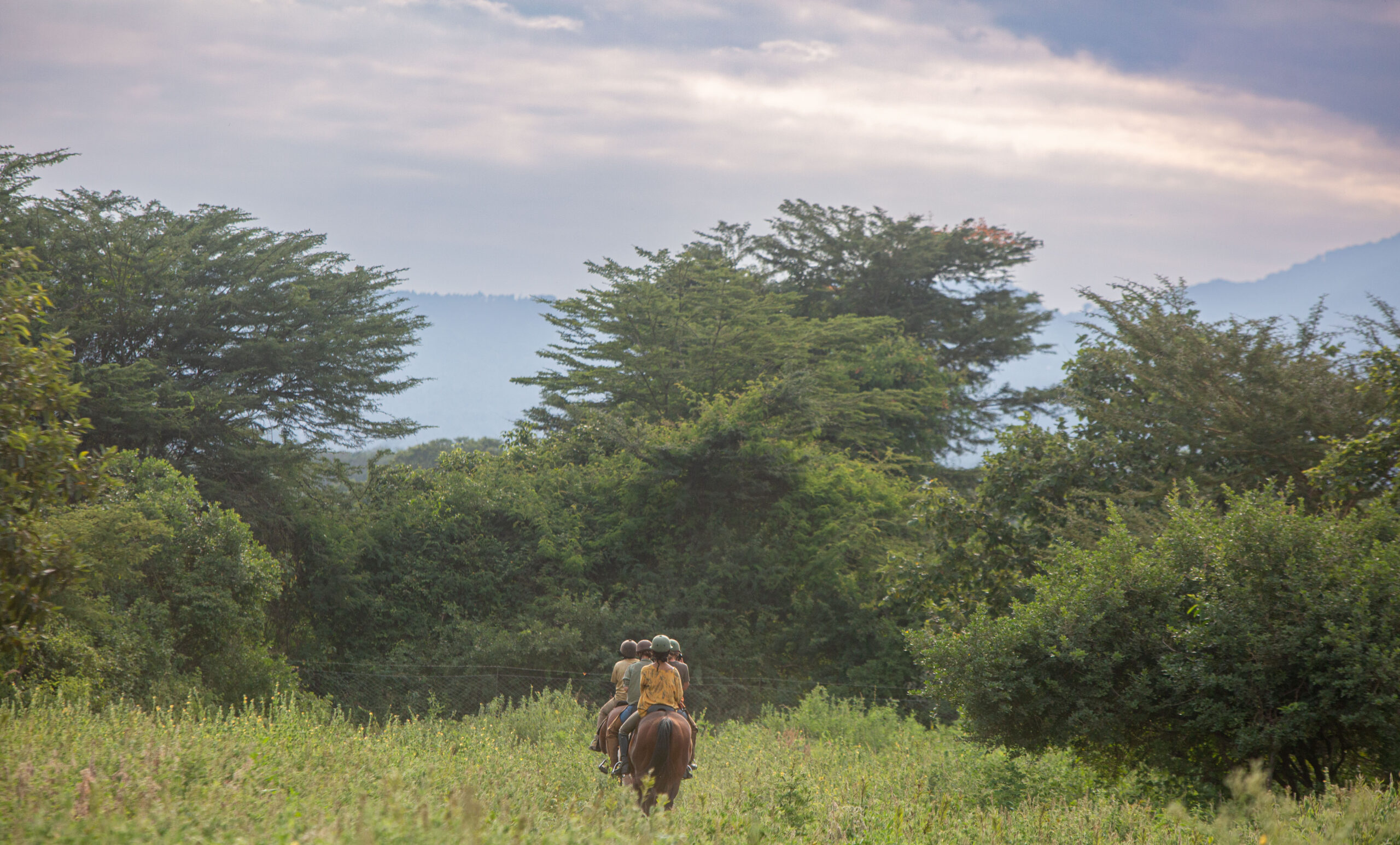 Buitenrit Wildlife Day Ride - Tanzania - Afbeelding 8