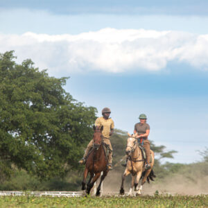 Buitenrit Wildlife Day Ride - Tanzania - Afbeelding 7