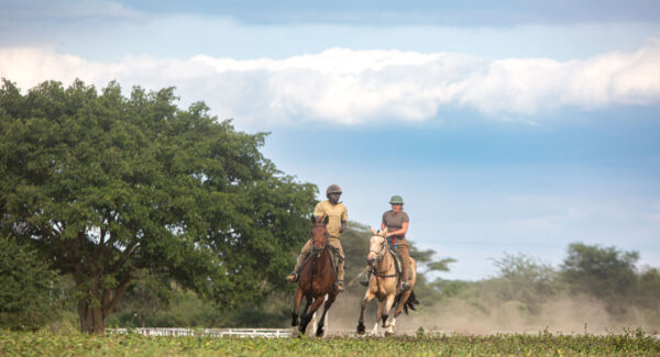 Buitenrit Wildlife Day Ride - Tanzania