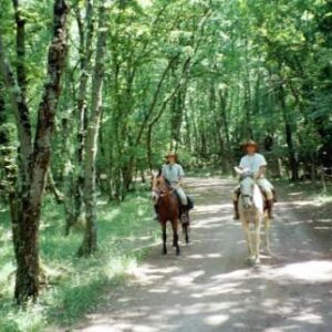3-daagse paardrijtocht Tufsteensteden Toscane - Italië - Afbeelding 5