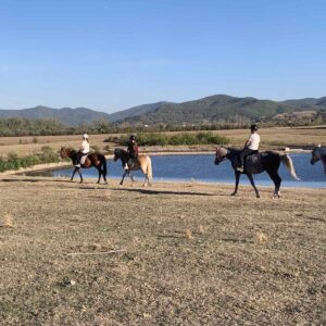 6-daagse paardrijtocht naar de top van het Rhodopegebergte - Bulgarije - Afbeelding 7