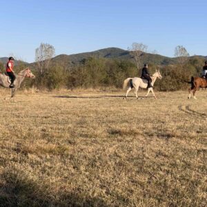 7-daagse paardrijtocht KarabalKan - Bulgarije - Afbeelding 6
