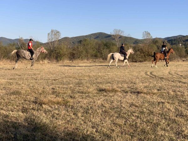 7-daagse paardrijtocht KarabalKan - Bulgarije