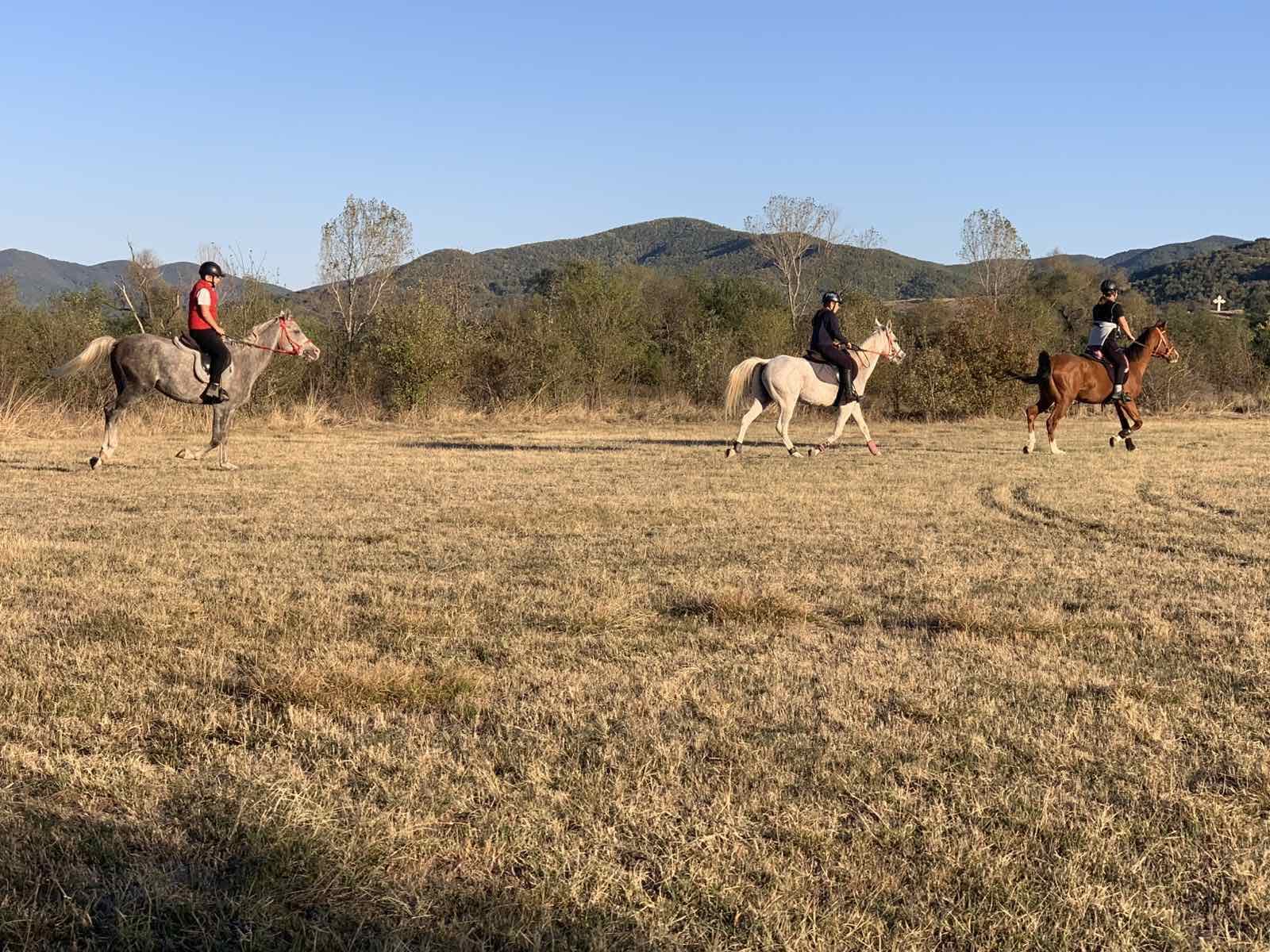7-daagse paardrijtocht KarabalKan - Bulgarije - Afbeelding 6