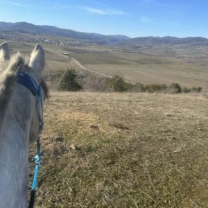 8-daagse paardrijtocht Thracië-tour - Bulgarije - Afbeelding 6