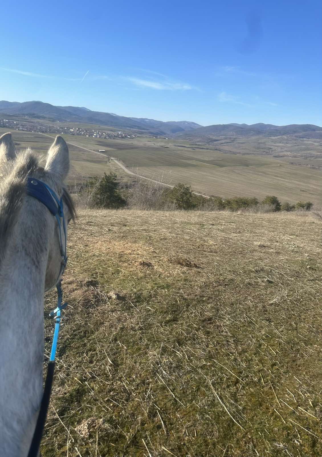 8-daagse paardrijtocht Thracië-tour - Bulgarije