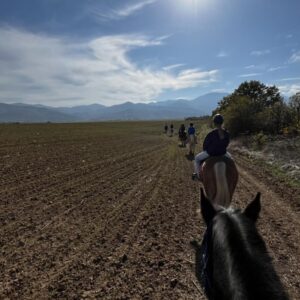 6-daagse paardrijtocht naar de top van het Rhodopegebergte - Bulgarije - Afbeelding 9