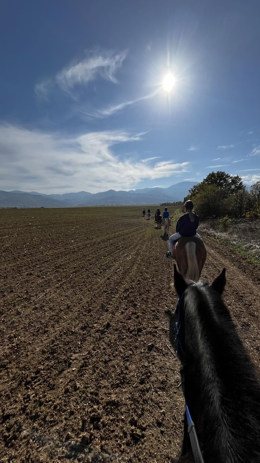 6-daagse paardrijtocht naar de top van het Rhodopegebergte - Bulgarije