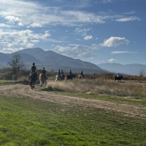 8-daagse paardrijtocht Thracië-tour - Bulgarije - Afbeelding 5