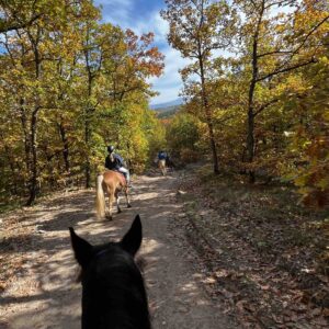 7-daagse paardrijtocht KarabalKan - Bulgarije - Afbeelding 5