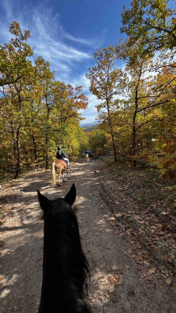 7-daagse paardrijtocht KarabalKan - Bulgarije