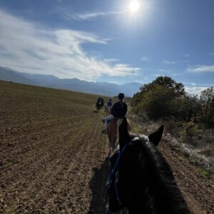 6-daagse paardrijtocht naar de top van het Rhodopegebergte - Bulgarije - Afbeelding 6
