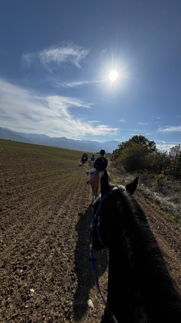 6-daagse paardrijtocht naar de top van het Rhodopegebergte - Bulgarije