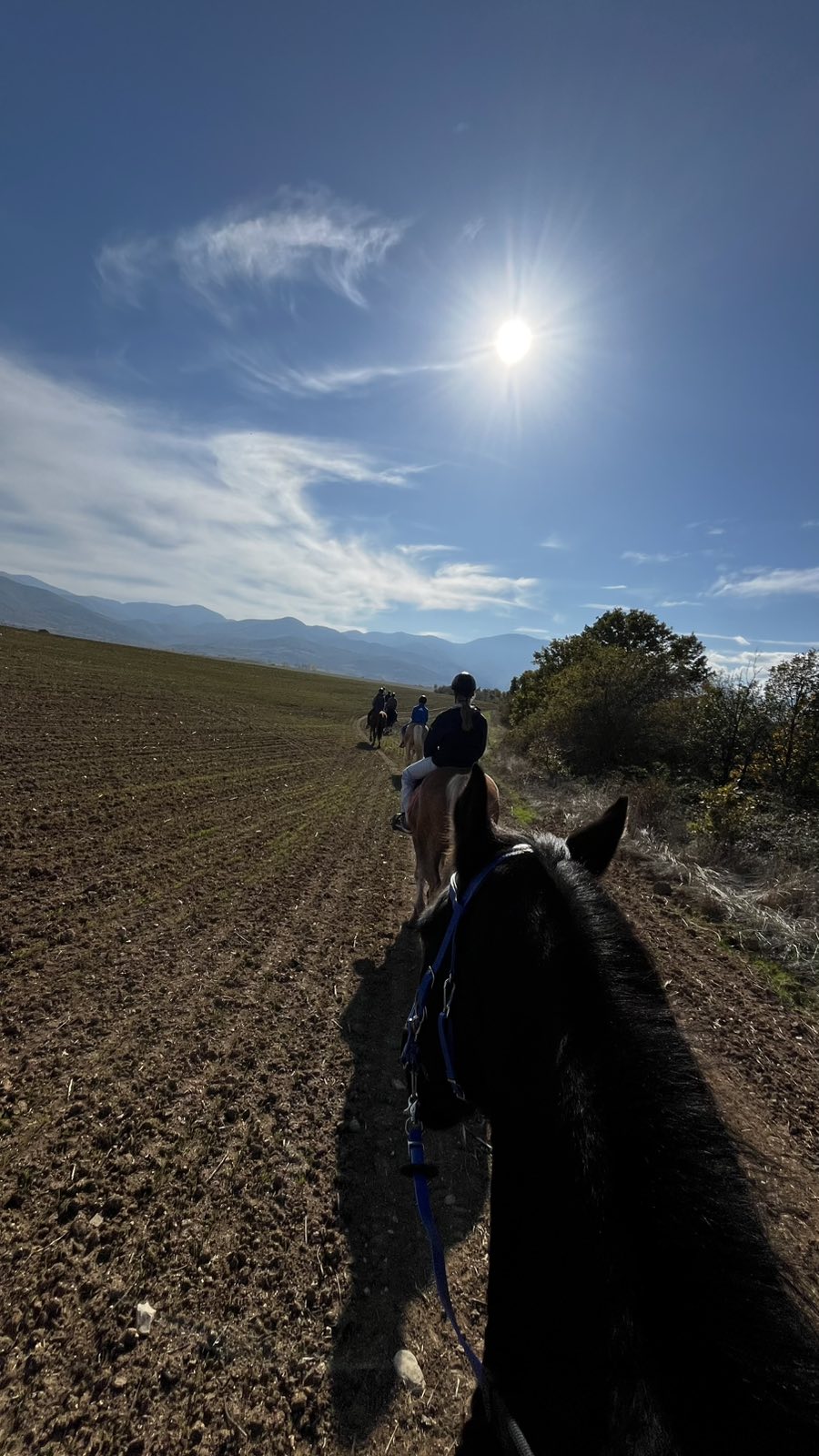 6-daagse paardrijtocht naar de top van het Rhodopegebergte - Bulgarije - Afbeelding 6