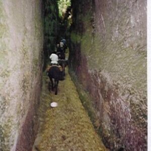 3-daagse paardrijtocht Tufsteensteden Toscane - Italië - Afbeelding 4