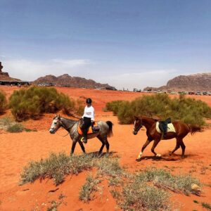 Dagrit Wadi Rum - Jordanië - Afbeelding 7