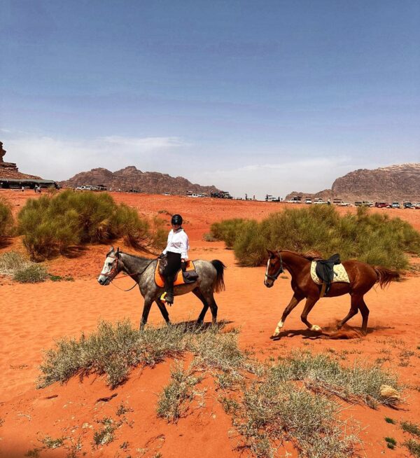 Dagrit Wadi Rum - Jordanië