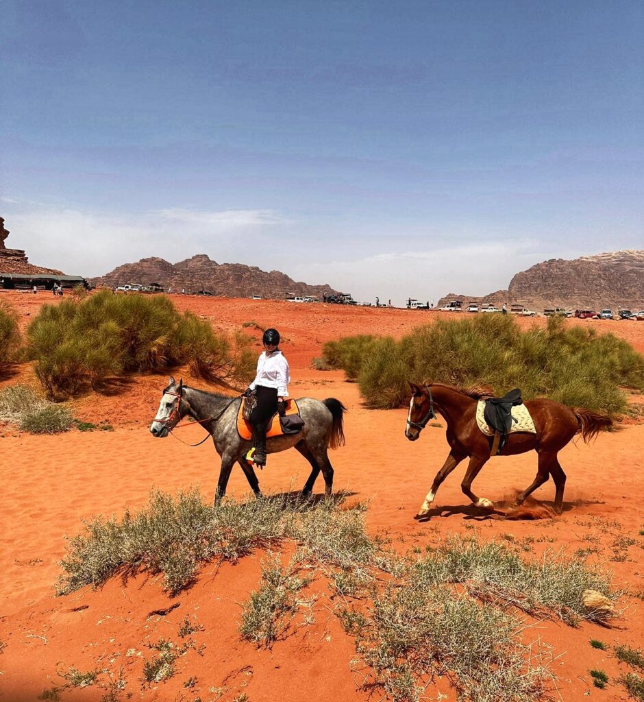 Dagrit Wadi Rum - Jordanië