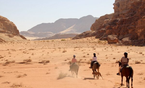 Dagrit Wadi Rum - Jordanië