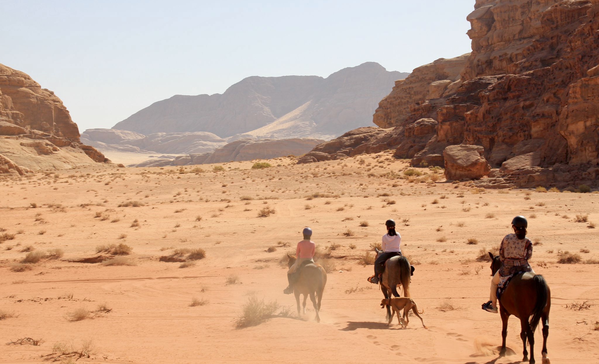 Dagrit Wadi Rum - Jordanië - Afbeelding 8
