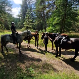 3-daagse paardrijtocht Beginners Zee & Bos Riga - Letland