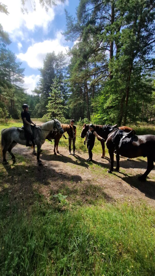 3-daagse paardrijtocht Beginners Zee & Bos Riga - Letland