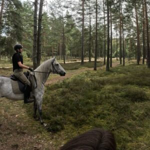 Buitenrit Piejūra Riga - Letland - Afbeelding 1