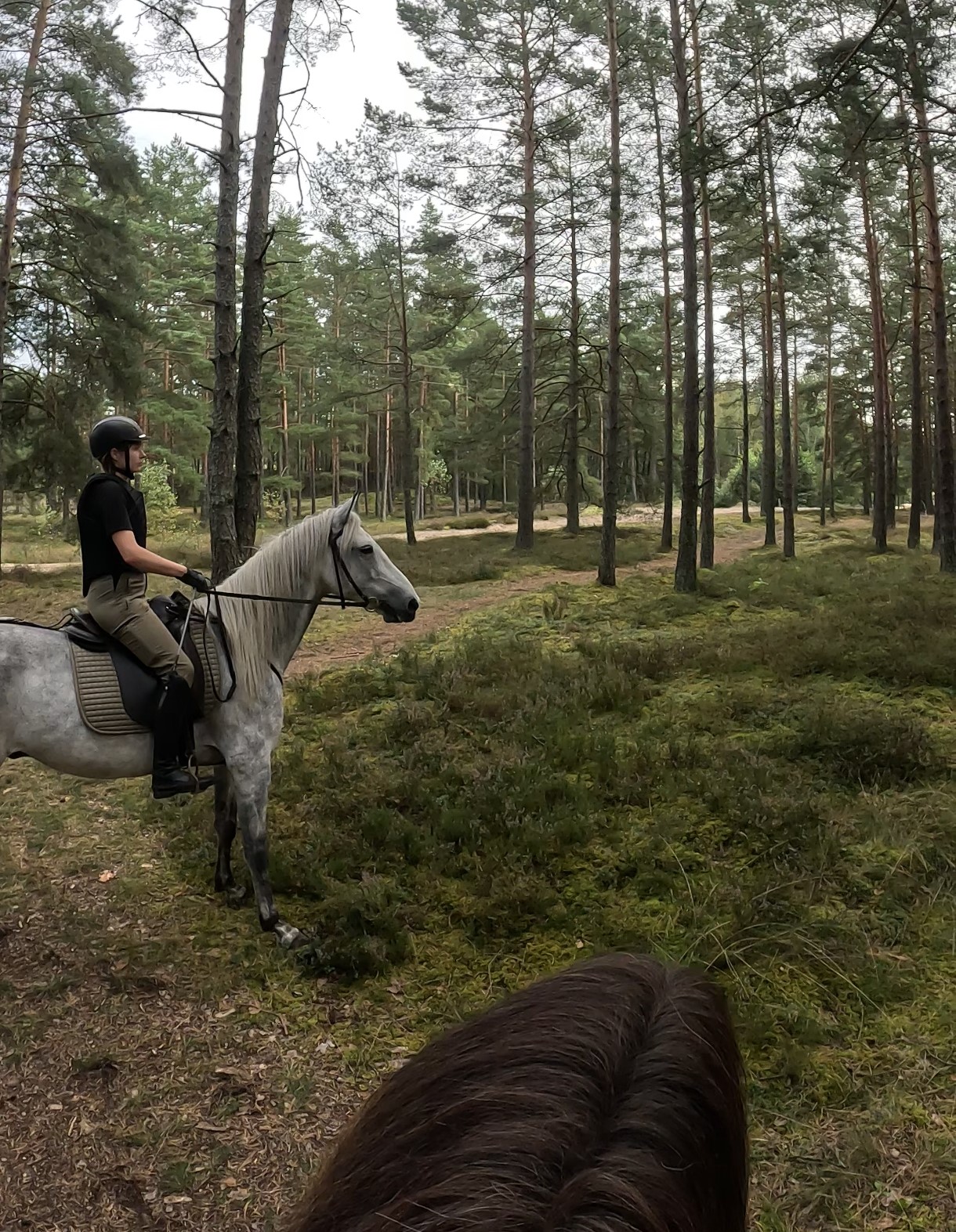 Buitenrit Piejūra Riga - Letland - Afbeelding 1